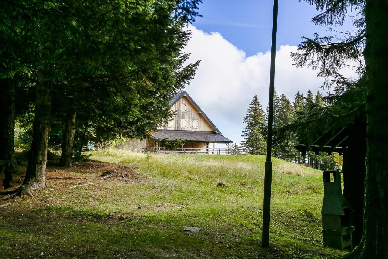 Chalet Liza & Rozi Zgornja Loznica المظهر الخارجي الصورة